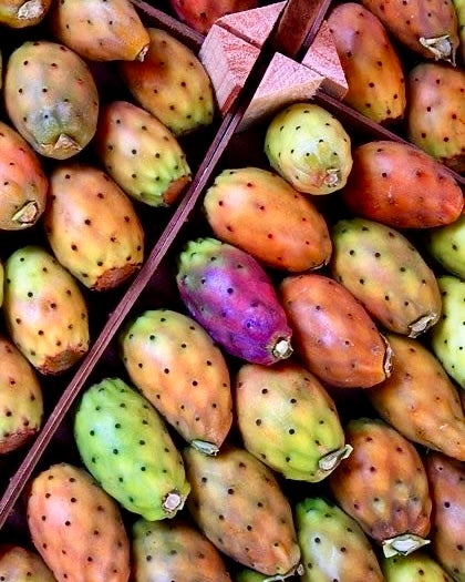 FICHI D'INDIA