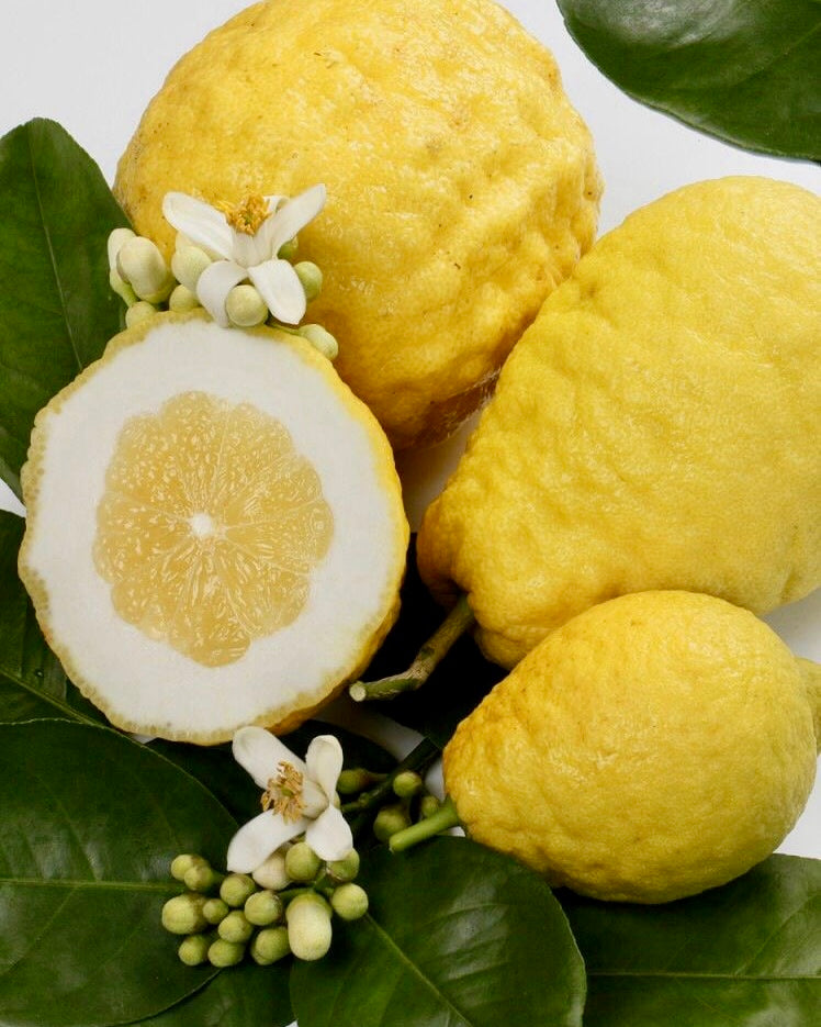 CEDRI