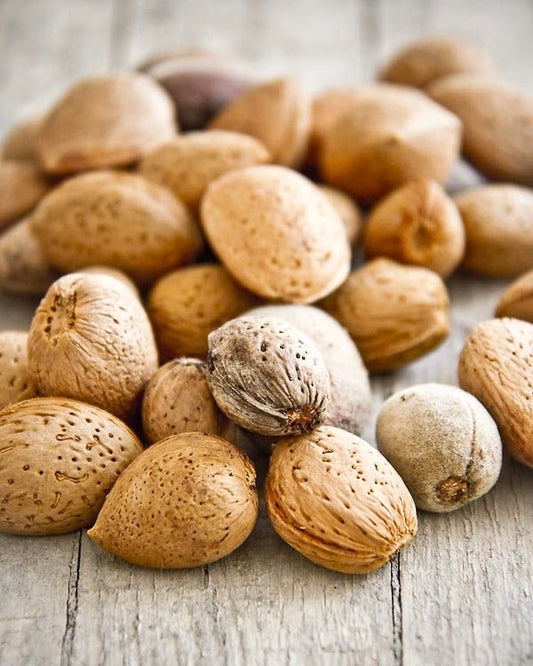 MANDORLE SICILIANE (GUSCIO)