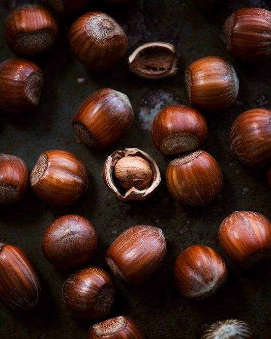 NOCCIOLE
