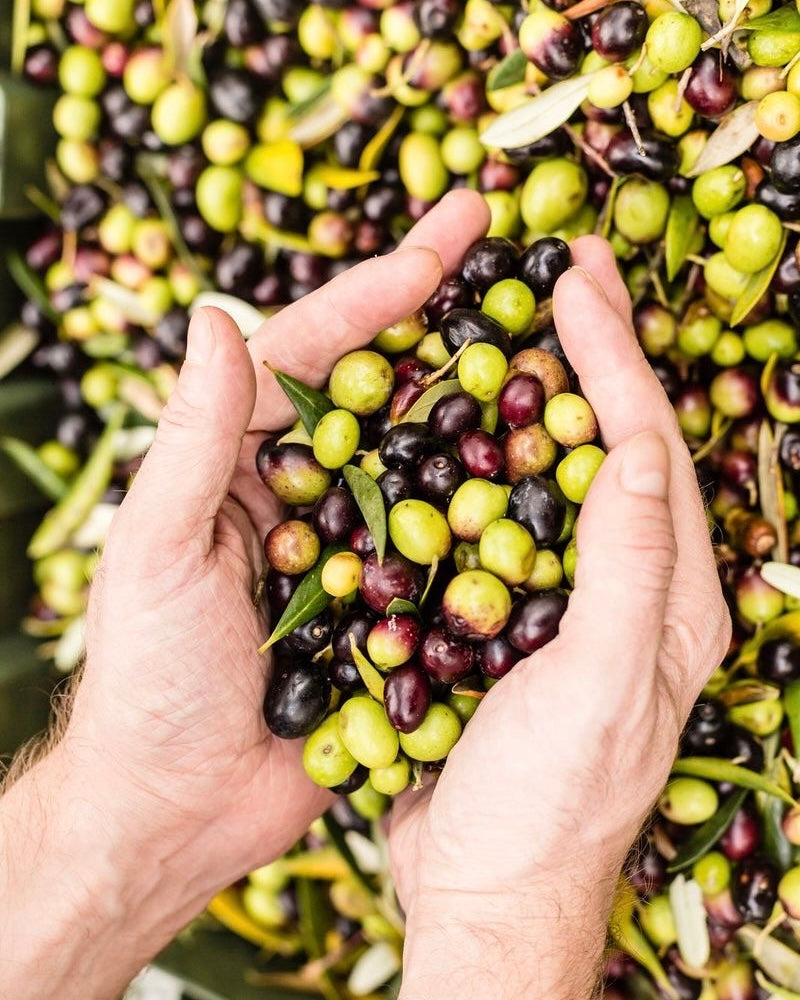 OLIO EXTRA VERGINE DI OLIVA
